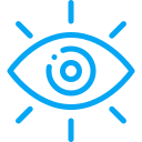 shared-vision icon